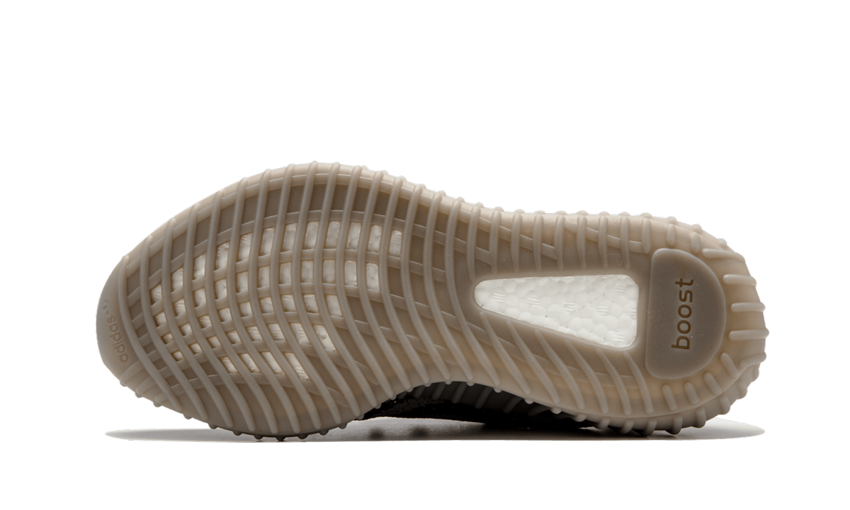 Yeezy Boost 350 V2 5