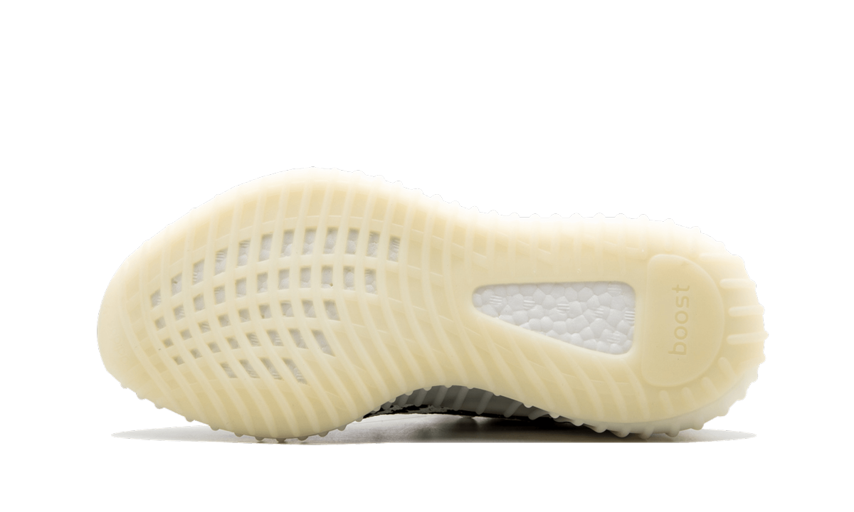 Yeezy Boost 350 V2 5