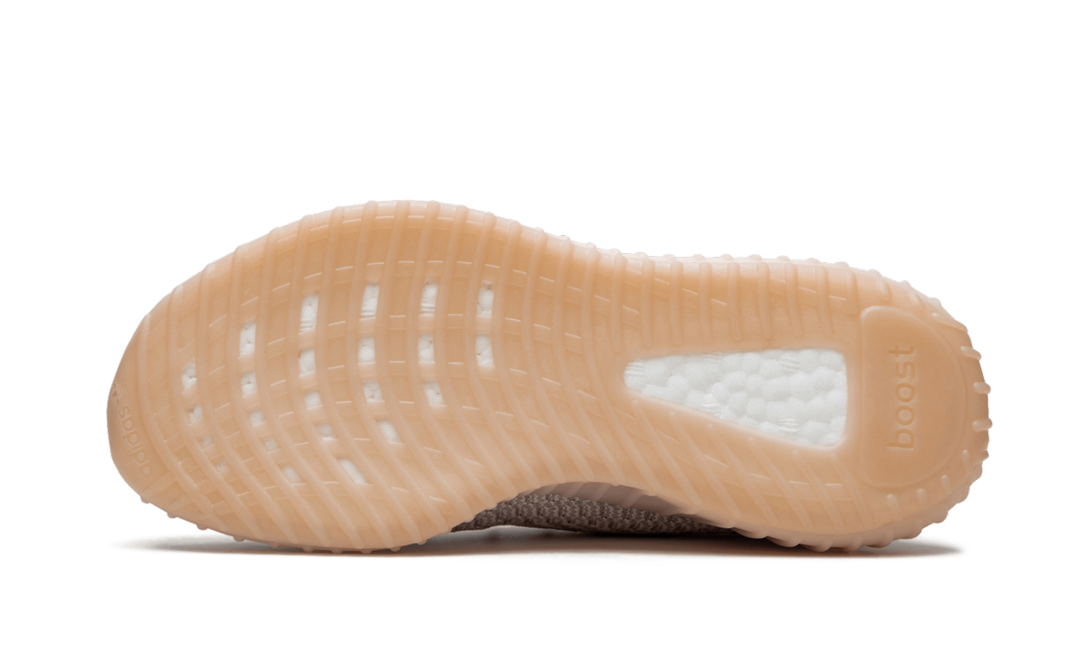 Yeezy Boost 350 V2 Kids 5