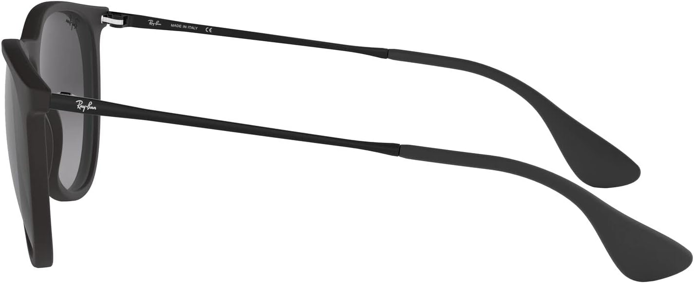 Ray-Ban Women's Rb4171 Erika Round Sunglasses