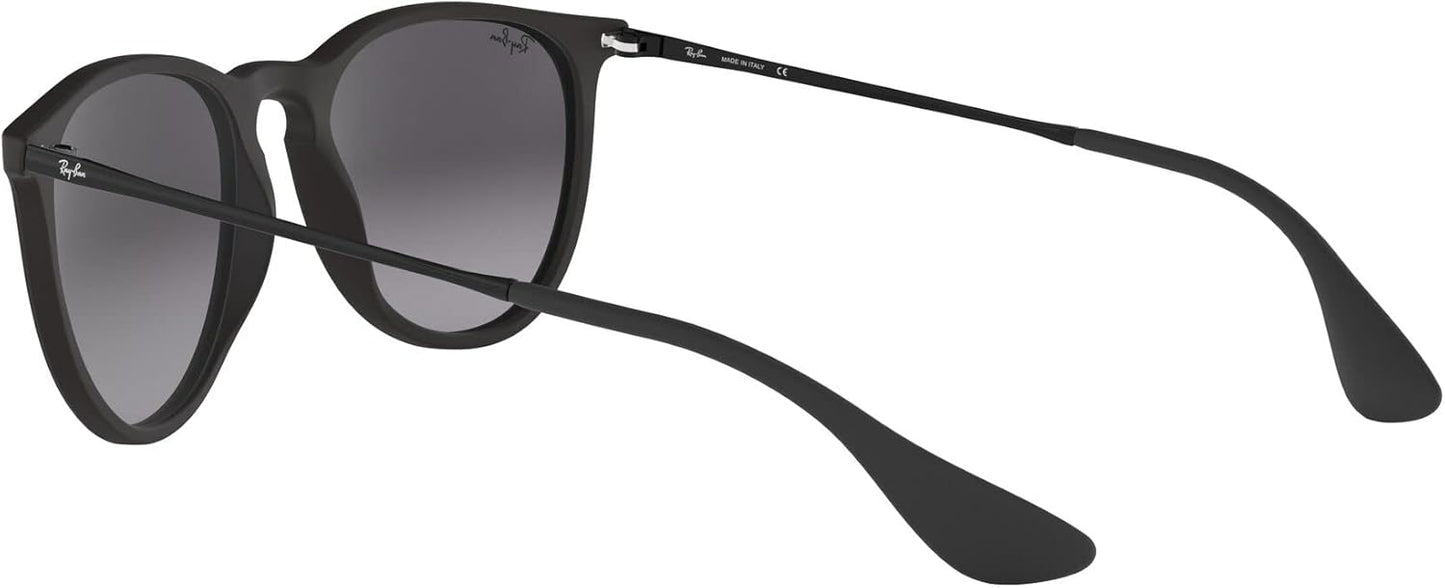 Ray-Ban Women's Rb4171 Erika Round Sunglasses