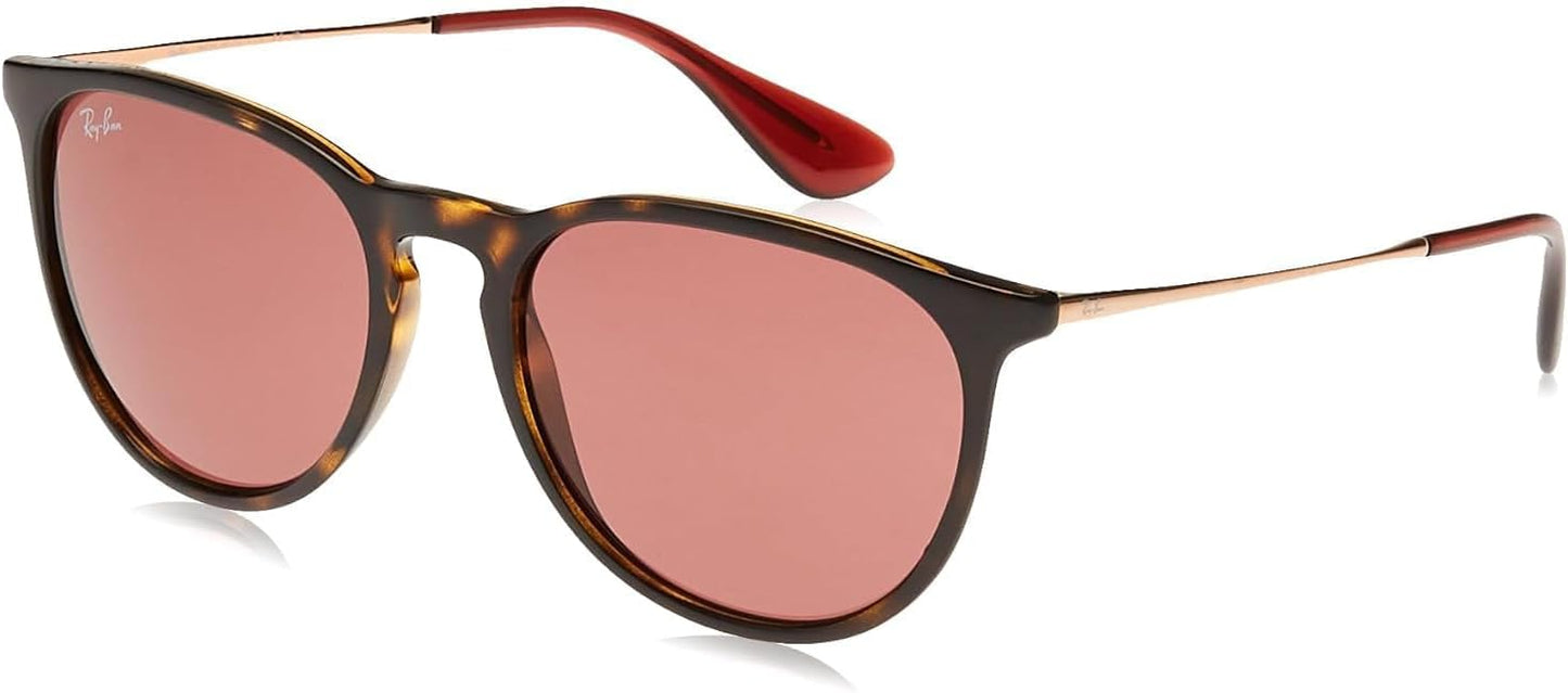 Ray-Ban Women's Rb4171 Erika Round Sunglasses