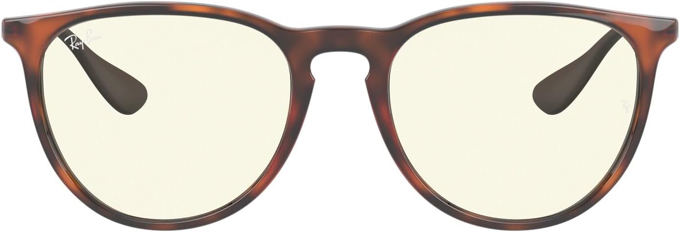 Ray-Ban Women's Rb4171 Erika Round Sunglasses
