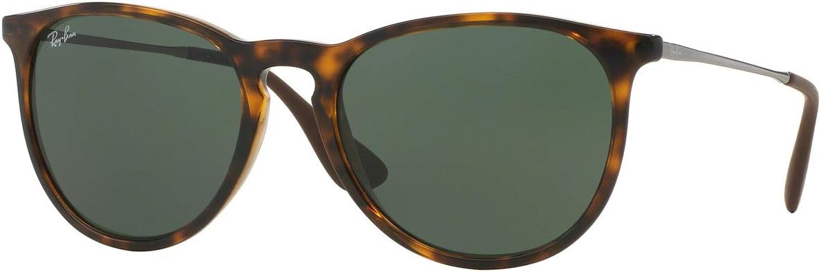 Ray-Ban Women's Rb4171 Erika Round Sunglasses