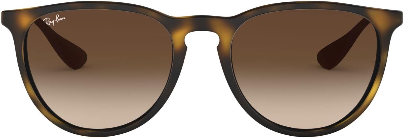Ray-Ban Women's Rb4171 Erika Round Sunglasses
