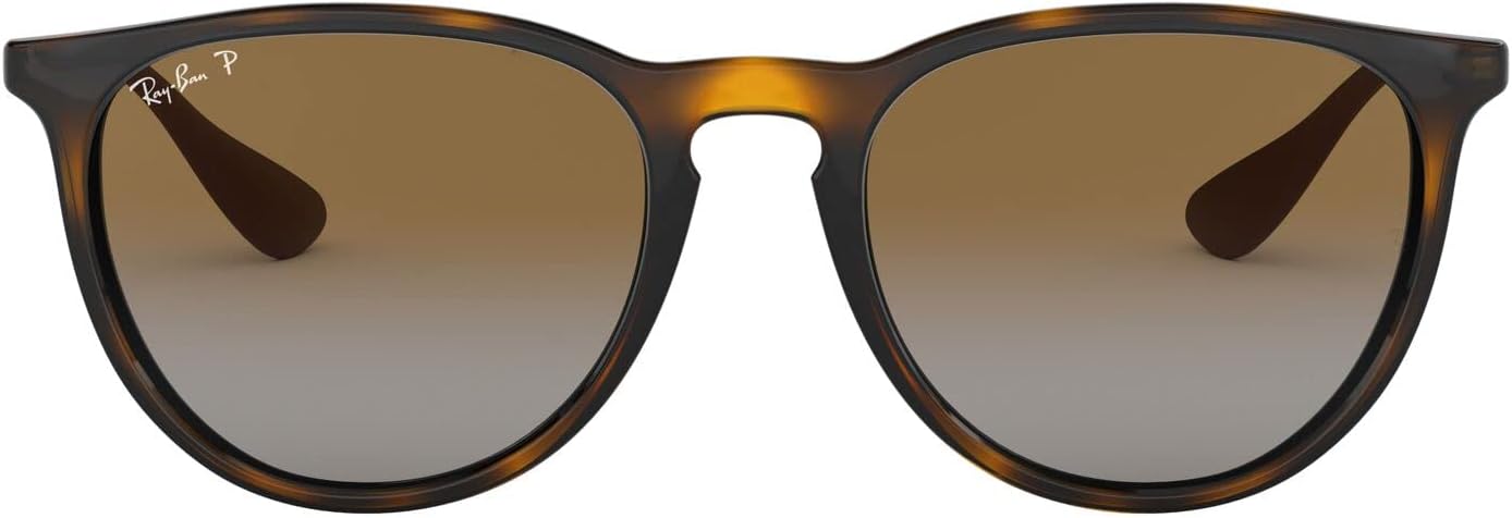 Ray-Ban Women's Rb4171 Erika Round Sunglasses