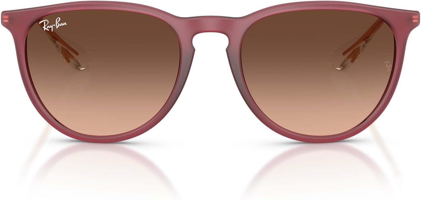 Ray-Ban Women's Rb4171 Erika Round Sunglasses