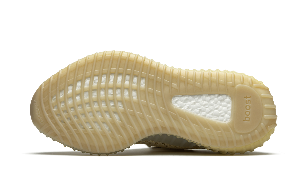 Yeezy Boost 350 V2 5