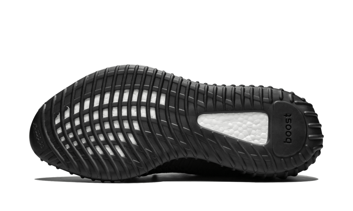 Yeezy Boost 350 V2 5