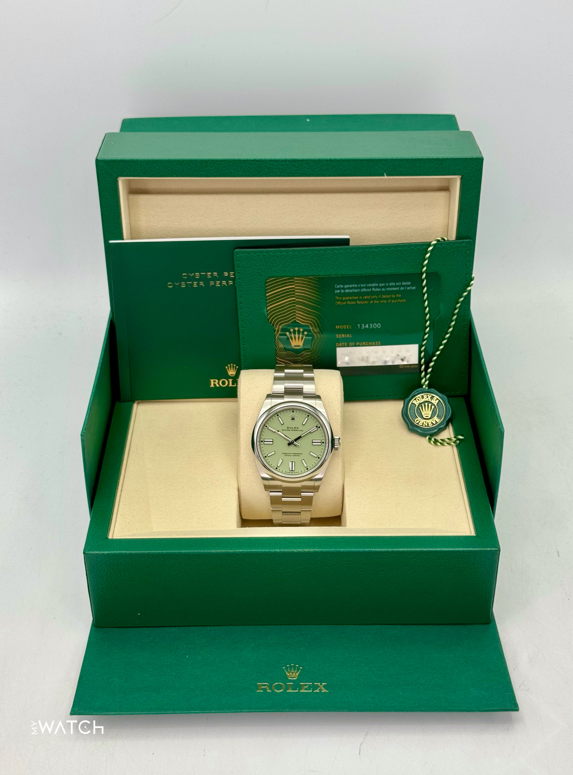 NEW 2025 Rolex Oyster Perpetual 41mm 134300 Pistachio Dial - MyWatchLLC