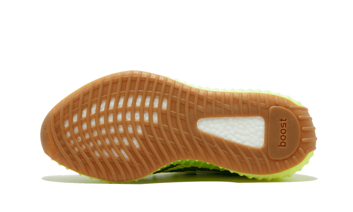 Yeezy Boost 350 V2 5