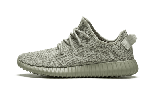Yeezy Boost 350 1