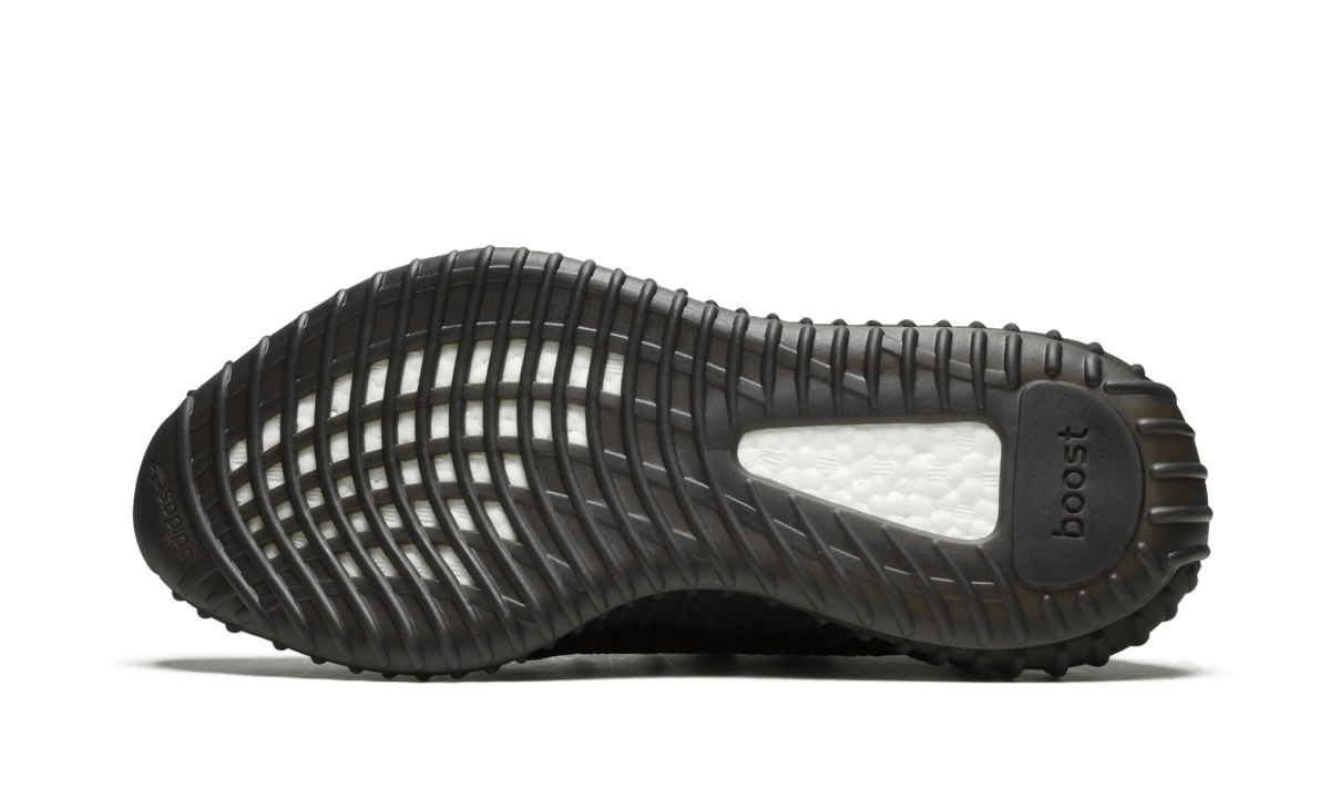 Yeezy Boost 350 V2 5