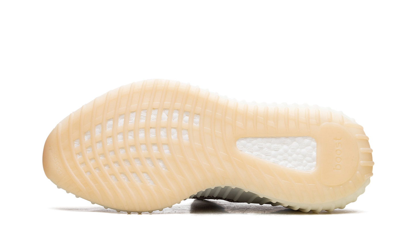 Yeezy Boost 350 V2 5