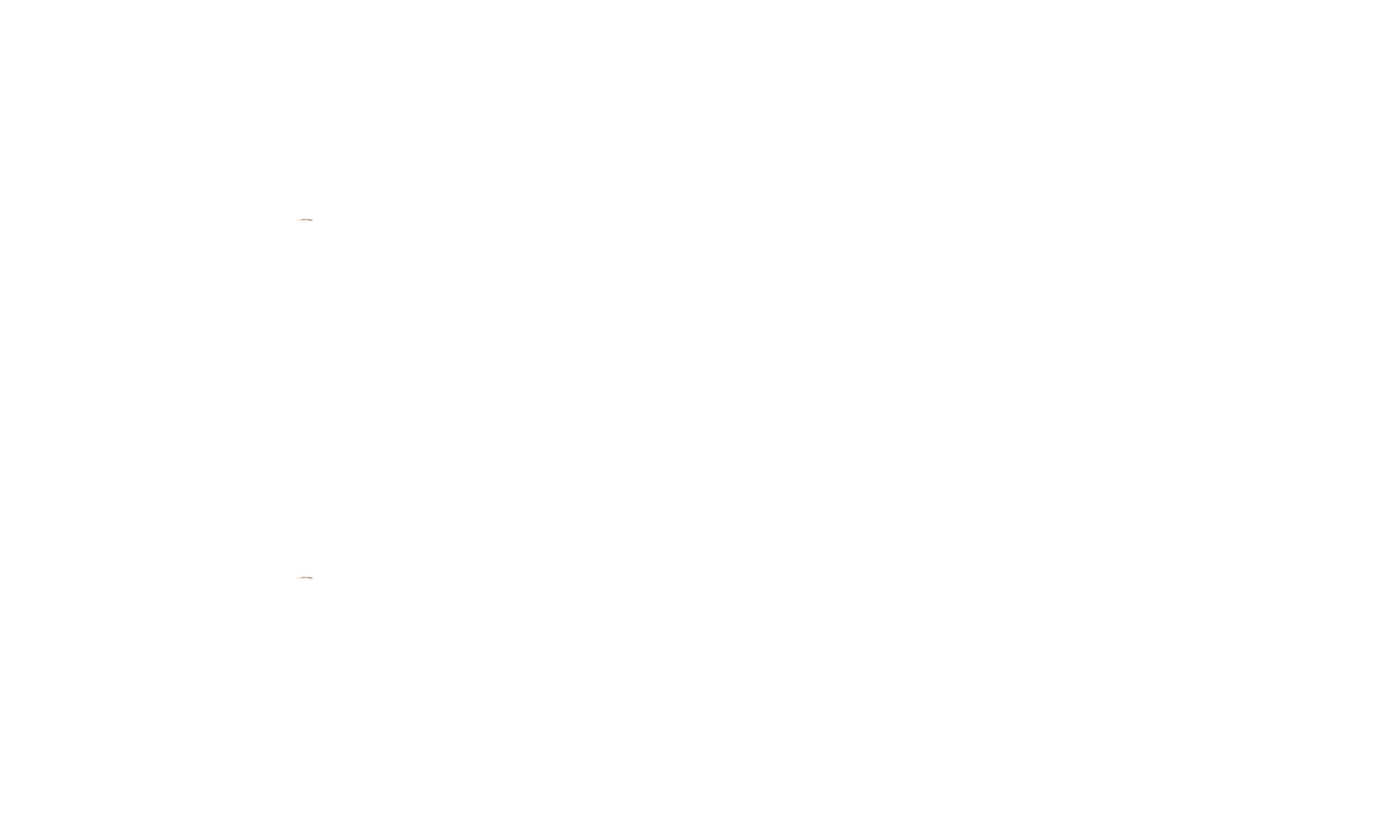 Yeezy Foam Runner 6F